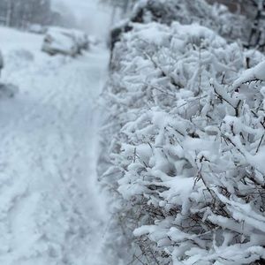 Meet your Posher, Kumar